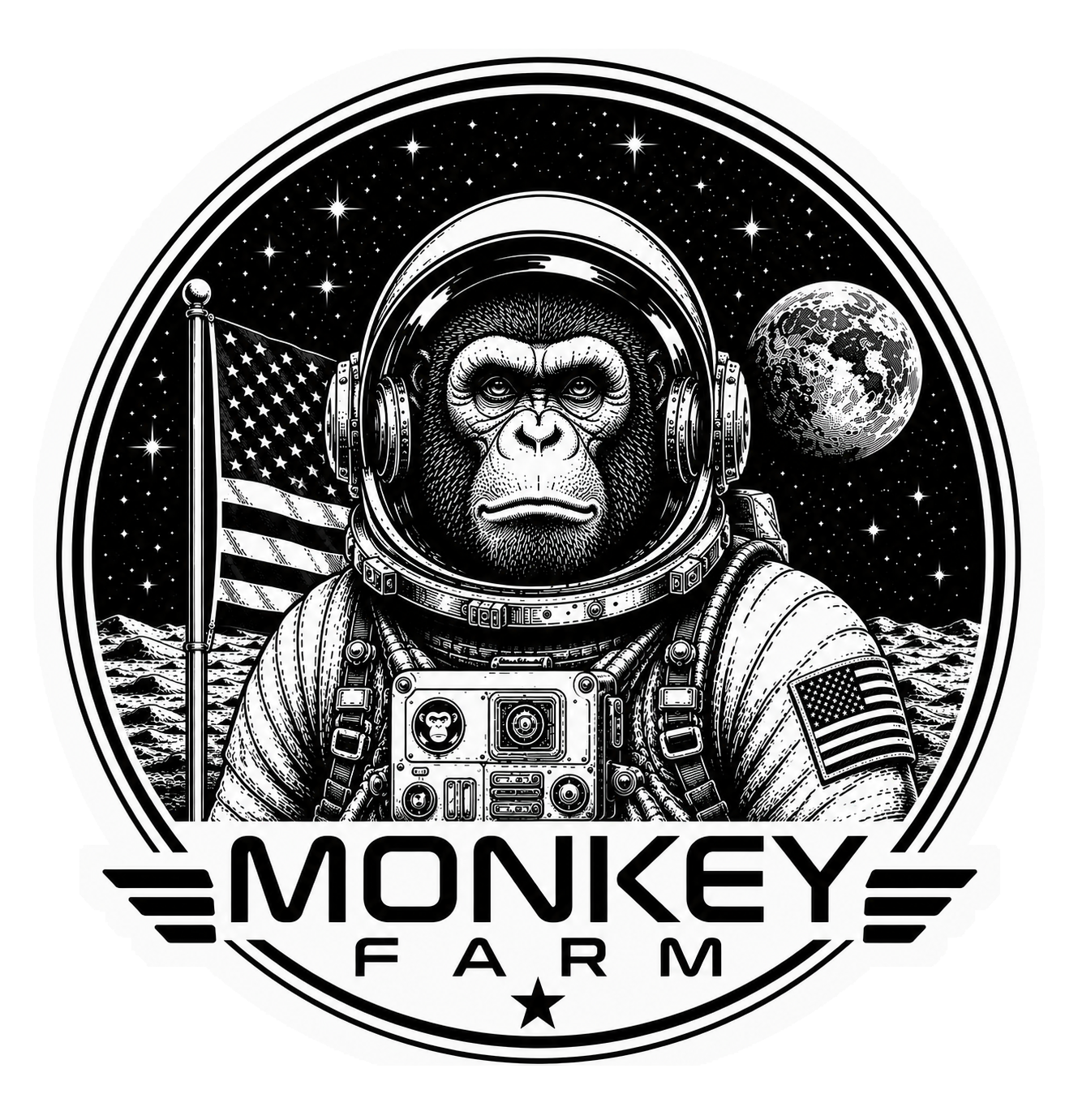 Flag Mission Patch Tee artwork