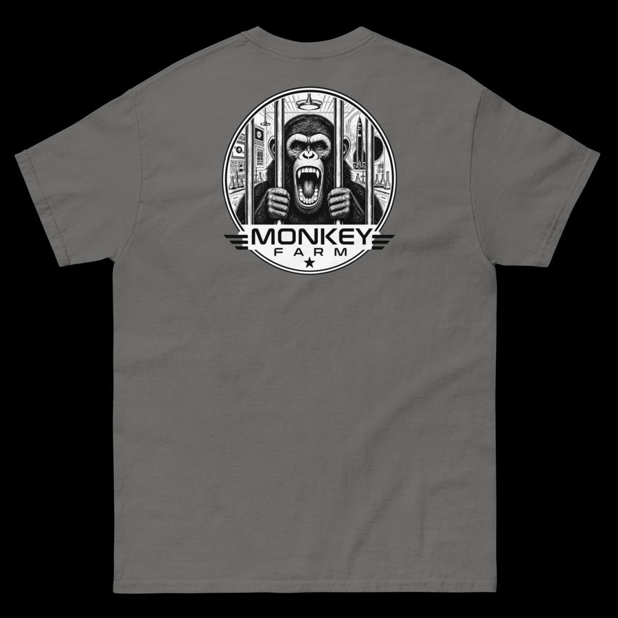 Jail Break - Gray Tee